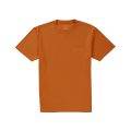 Polar Skate Co Stroke Tee Caramel at BAYSIXTY6 Skate Shop