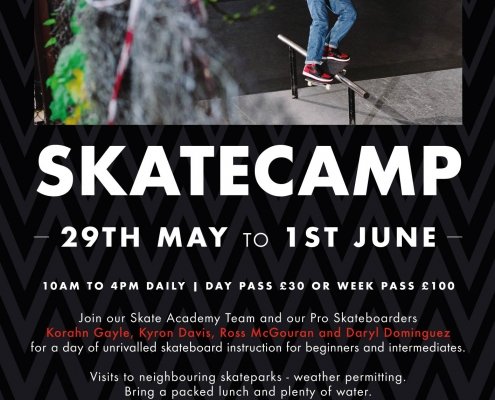 Learn to Skate Board from the Pro's