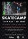 Learn to Skate Board from the Pro's